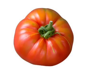 Old Tomato Seeds - 646