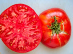 Old-Fashioned Tomato Seeds - Aker's West Virginia