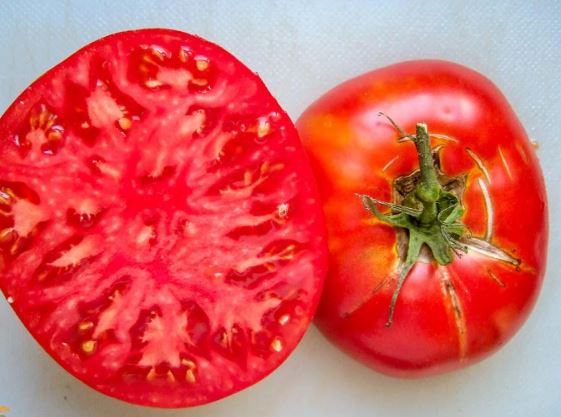 Old-Fashioned Tomato Seeds - Aker's West Virginia