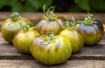 Semillas Tomate Antiguo - Albo Verte