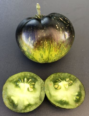 Semillas Tomate Antiguo - Albo Verte