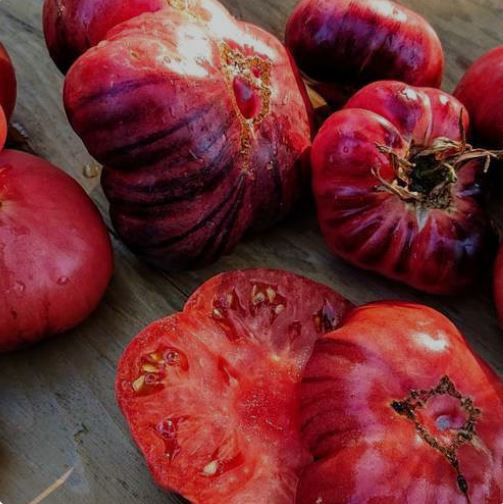 Ancient Tomato Seeds - Amethyst Jewel 