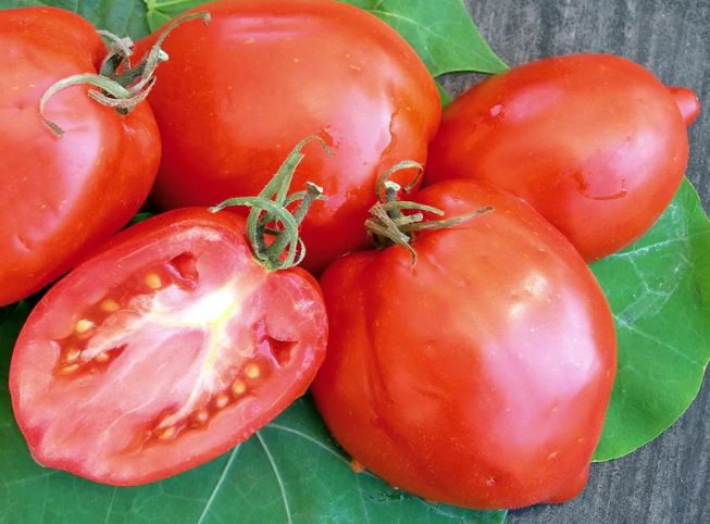 Semillas Tomate Antiguo - Amish Paste
