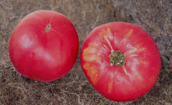 Old-Fashioned Tomato Seeds - Amish Pink 