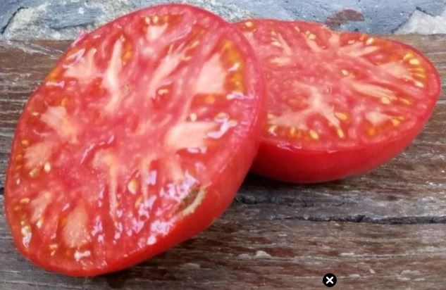 Old Tomato Seeds - Purple from Aretxabaleta