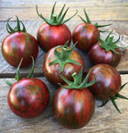 Semillas Tomate Antiguo - Artisan Purple Bumblebee