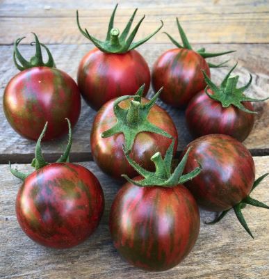 Semillas Tomate Antiguo - Artisan Purple Bumblebee