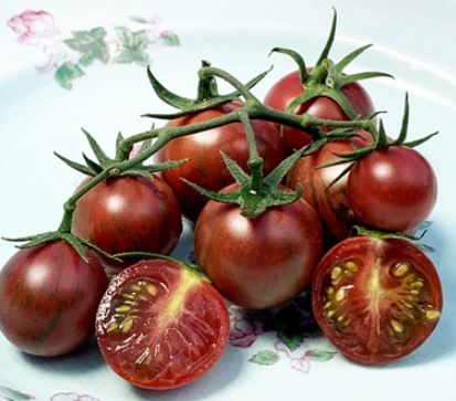 Semillas Tomate Antiguo - Artisan Purple Bumblebee