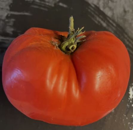Ancient Tomato Seeds - Belle Portugaise 