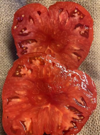Ancient Tomato Seeds - Belle Portugaise 