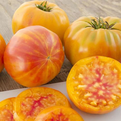 Old-Fashioned Tomato Seeds - Big Rainbow