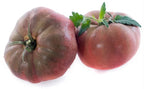 Ancient Tomato Seeds - Black Krim