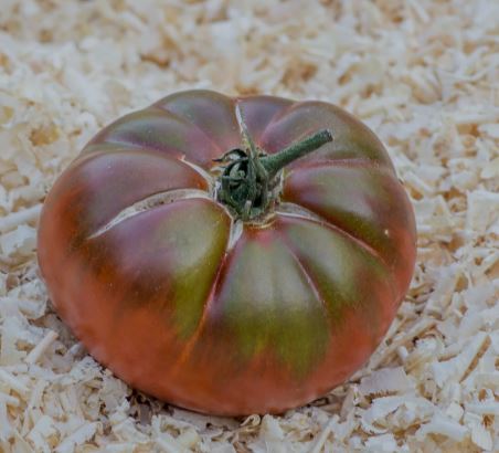 Ancient Tomato Seeds - Black Mammoth