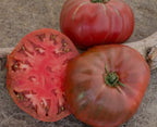 Ancient Tomato Seeds - Black Mammoth