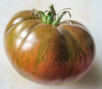 Ancient Tomato Seeds - Black &amp; Red Boar