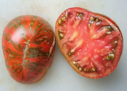 Ancient Tomato Seeds - Black &amp; Red Boar