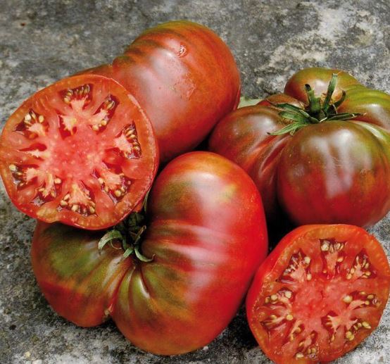 Ancient Tomato Seeds - Black Sea Man