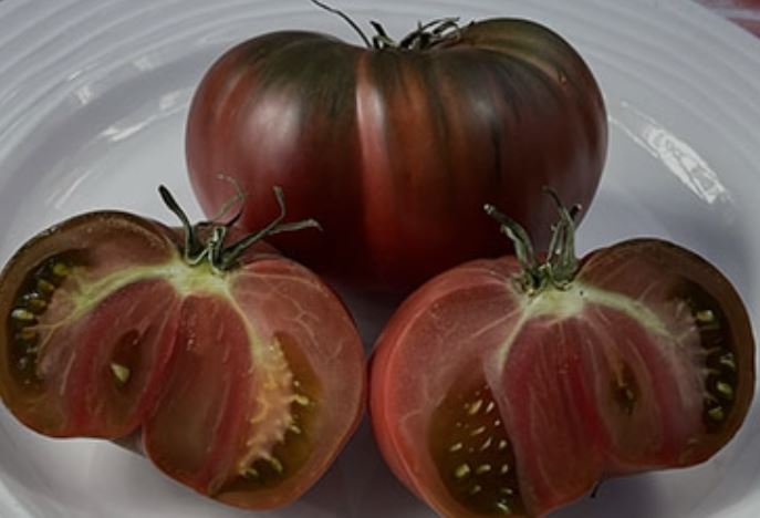 Ancient Tomato Seeds - Black Sea Man
