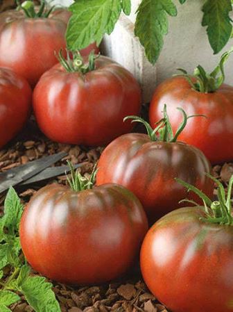 Semillas Tomate Antiguo - Black from Tula