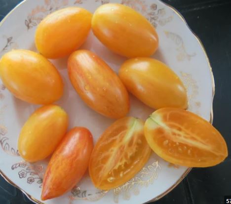 Old Tomato Seeds - Blush