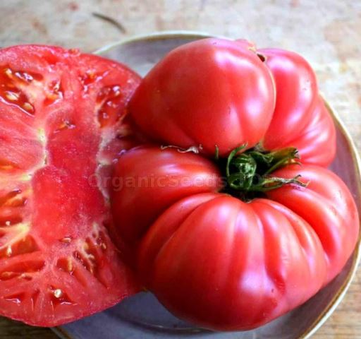 Old Tomato Seeds - Boondocks