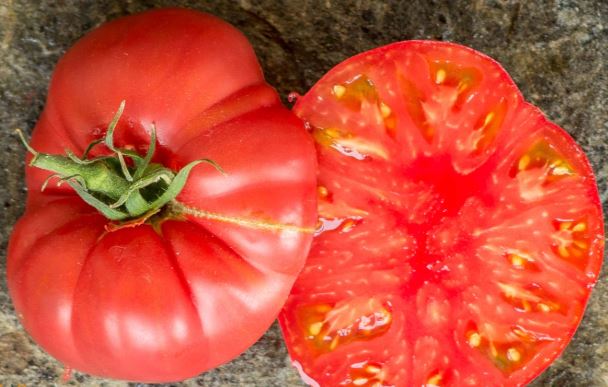 Old Tomato Seeds - Boondocks