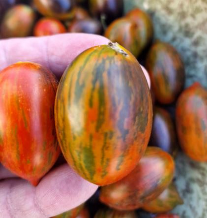 Semillas Tomate Antiguo - Brad´s Atomic Grape