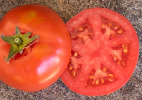 Semillas Tomate - Bubble Gum Dwarf