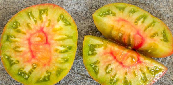 Semillas Tomate Antiguo - Captain Lucky