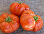 Semillas Tomate - Cherokee Tiger Large Red Dwarf