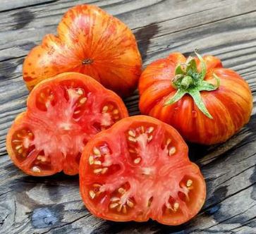 Semillas Tomate - Cherokee Tiger Large Red Dwarf