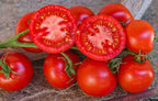 Semillas Tomate Antiguo - Clint Eastwood´s Rowdy Red