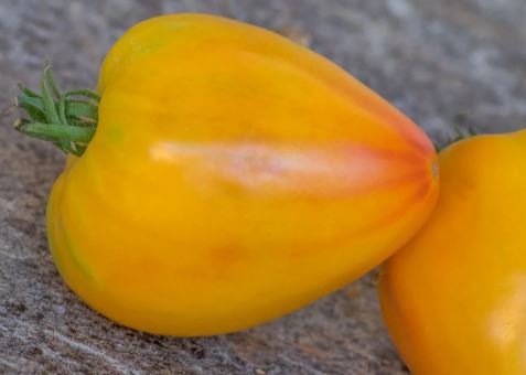 Semillas Tomate Antiguo - Desdemona's Heart