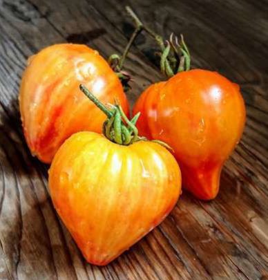Semillas Tomate Antiguo - Desdemona's Heart