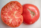 Old Tomato Seeds - English Rose
