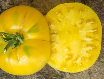 Semillas Tomate Antiguo - Grandma Josie's Amish White