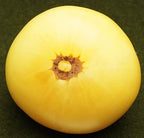 Semillas Tomate Antiguo - Grandma Josie's Amish White