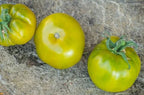 Semillas Tomate Antiguo - Grandma Josie's Amish White