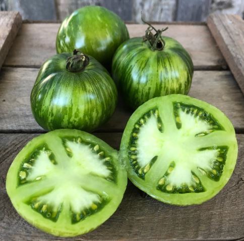 Old-Fashioned Tomato Seeds - Big Rainbow