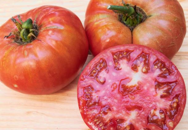 Ancient Tomato Seeds - Gregory Altaï