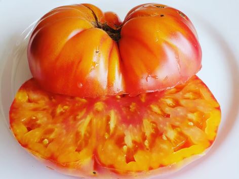 Old-Fashioned Tomato Seeds - Big Rainbow