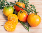 Old-Fashioned Tomato Seeds - Big Rainbow