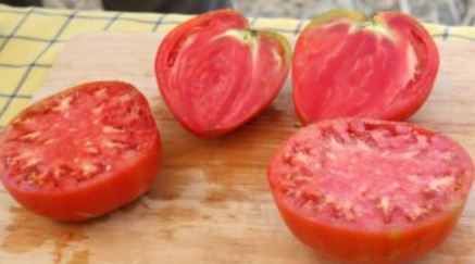 Ancient Tomato Seeds - Egg of Bull Guadalhorce Valley
