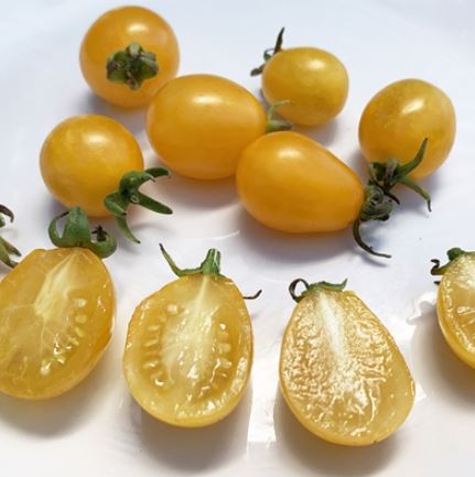 Semillas Tomate Antiguo - Ildi