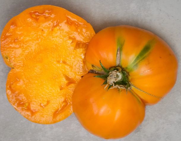Ancient Tomato Seeds - Kellogg's Breakfast