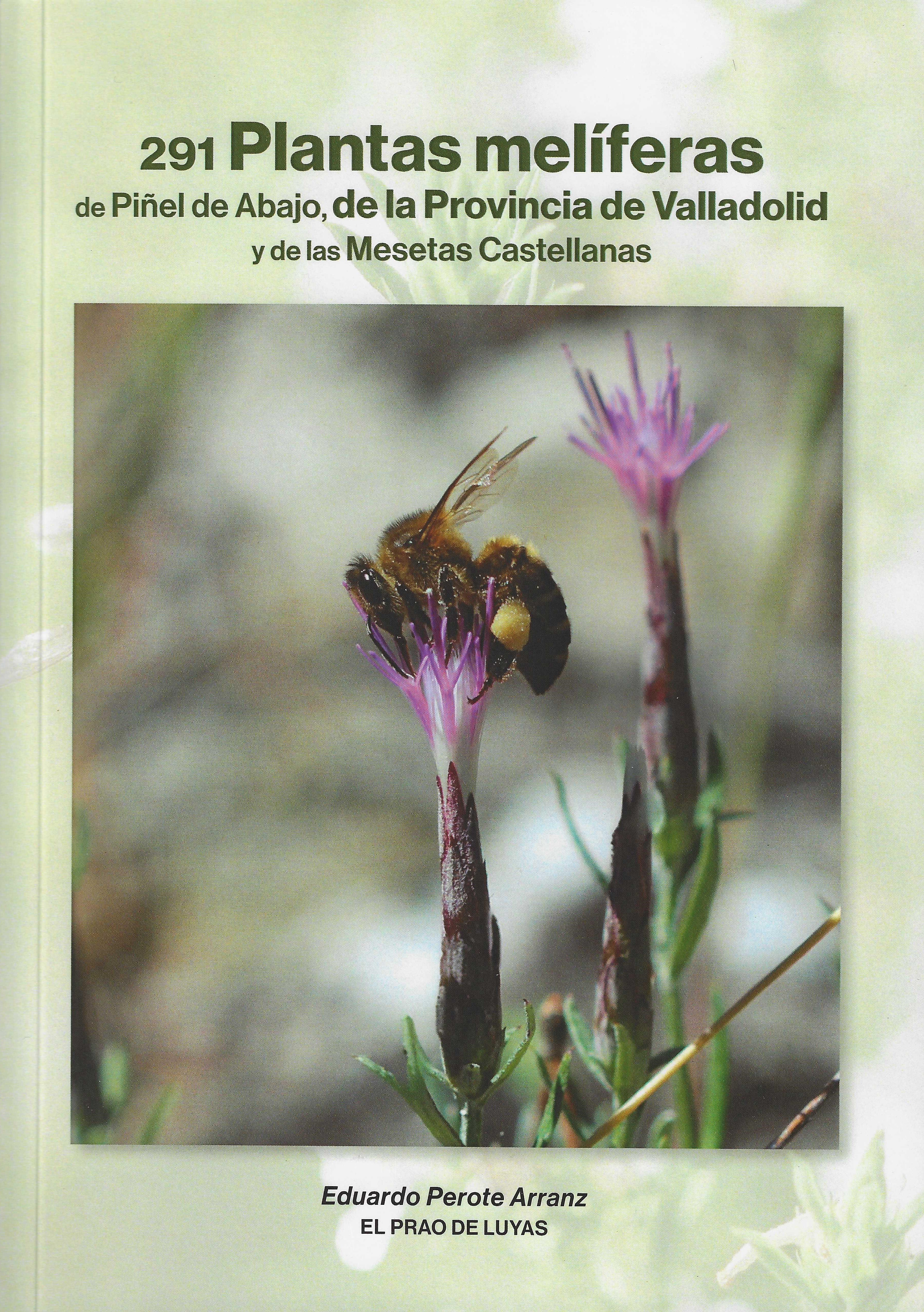 291 PLANTAS MELIFERAS DE PIÑEL DE ABAJO