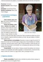 PATRIMONIO ALIMENTARIO DE CANTABRIA