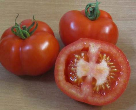 Semillas Tomate Antiguo - Manx Marvel