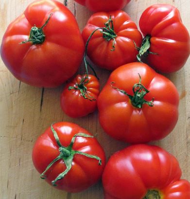Ancient Tomato Seeds - Marmande