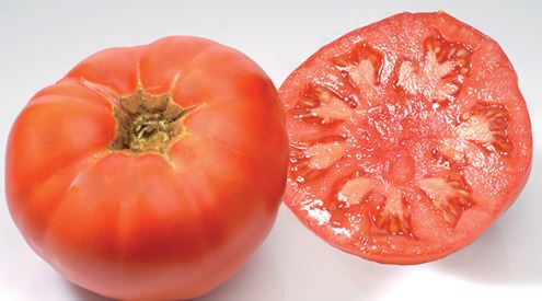 Ancient Tomato Seeds - Marmande